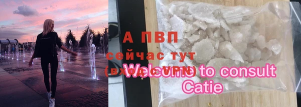 прущие грибы Киреевск