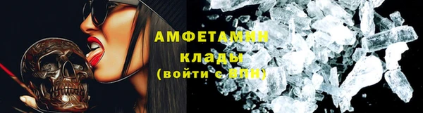 прущие грибы Киреевск