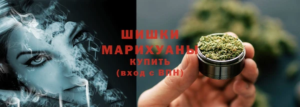 прущие грибы Киреевск