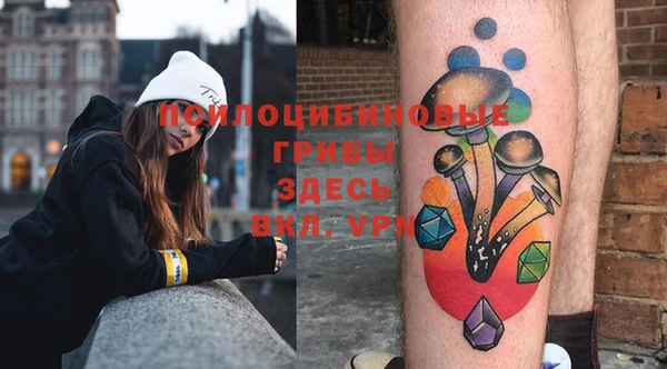 прущие грибы Киреевск