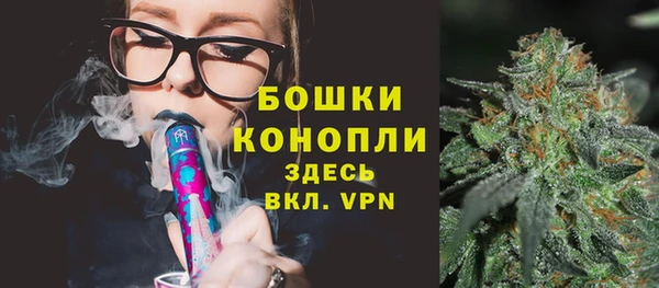 прущие грибы Киреевск